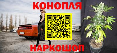сатива Первоуральск