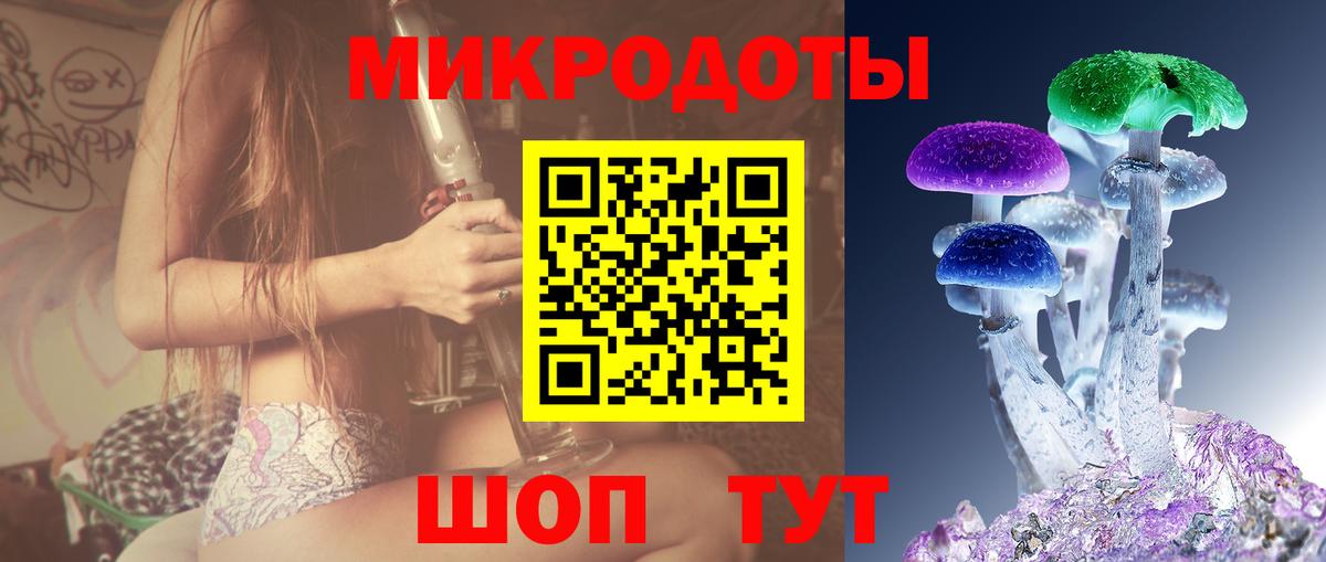Псилоцибиновые грибы GOLDEN TEACHER Октябрьский